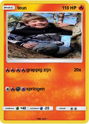 Pokemon teun