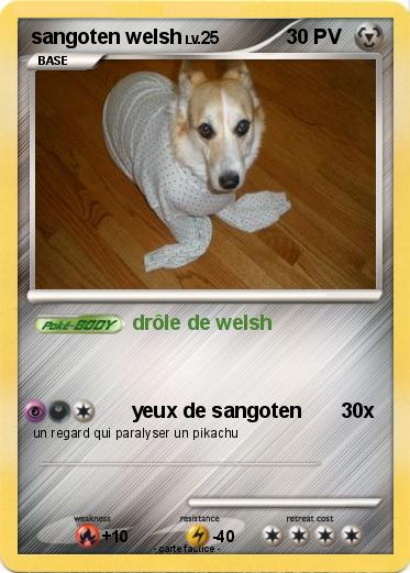 Pokemon sangoten welsh