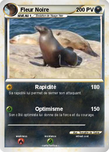 Pokemon Fleur Noire