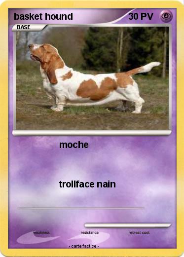 Pokemon basket hound