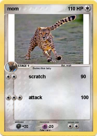Pokemon mom
