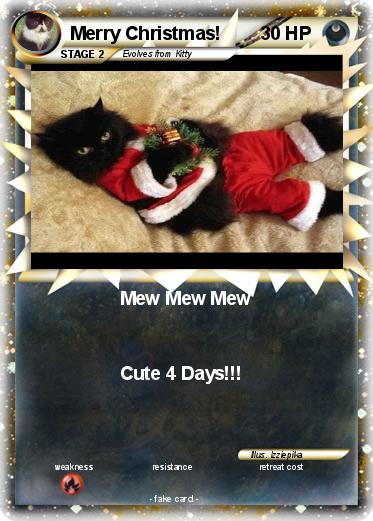 Pokemon Merry Christmas!