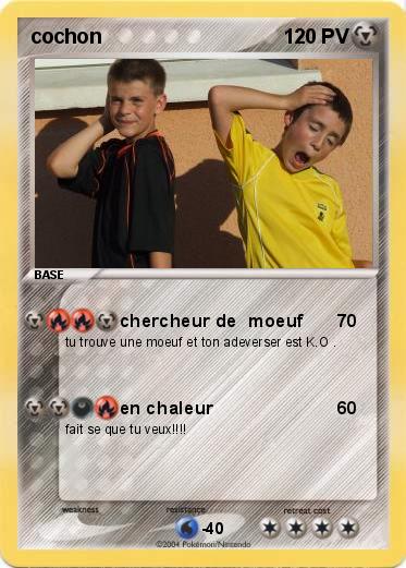 Pokemon cochon