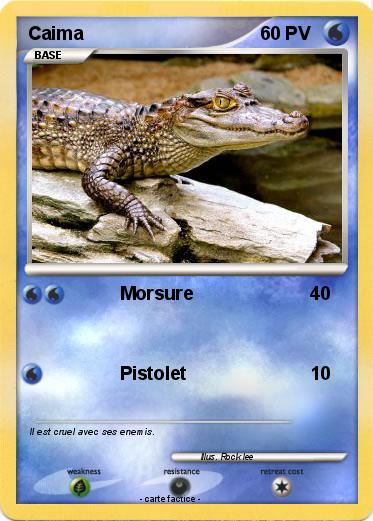 Pokemon Caima