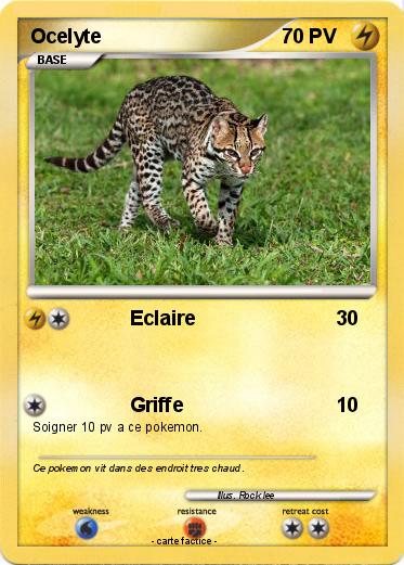 Pokemon Ocelyte