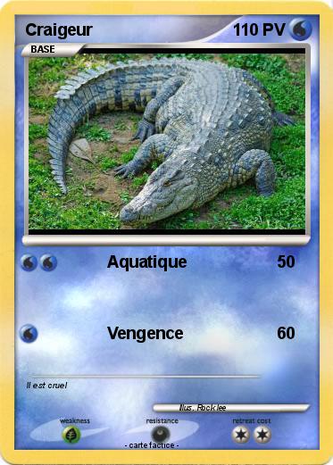 Pokemon Craigeur