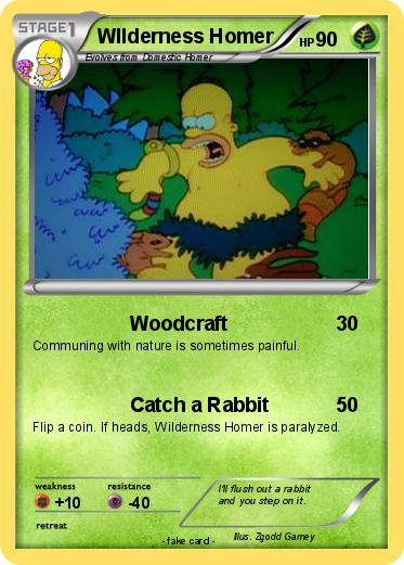 Pokemon WIlderness Homer