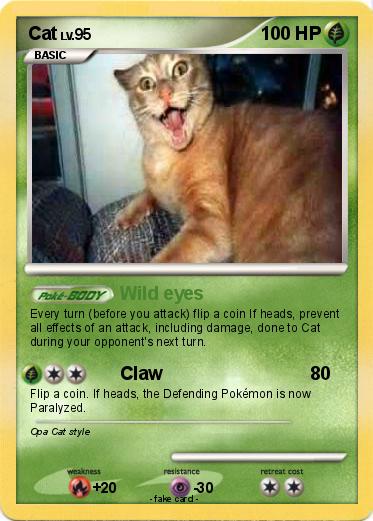 Pokemon Cat