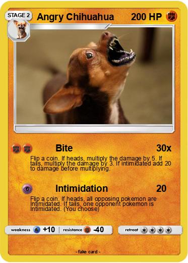 Pokemon Angry Chihuahua