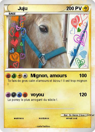 Pokemon Juju