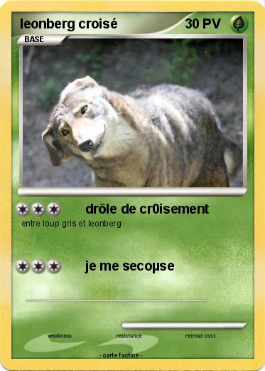Pokemon leonberg croisé