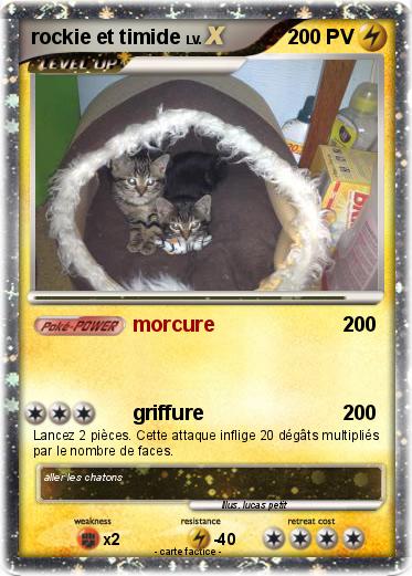 Pokemon rockie et timide