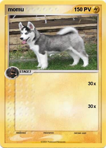 Pokemon momu