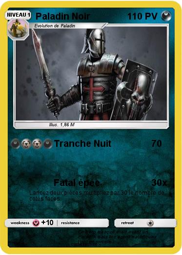 Pokemon Paladin Noir