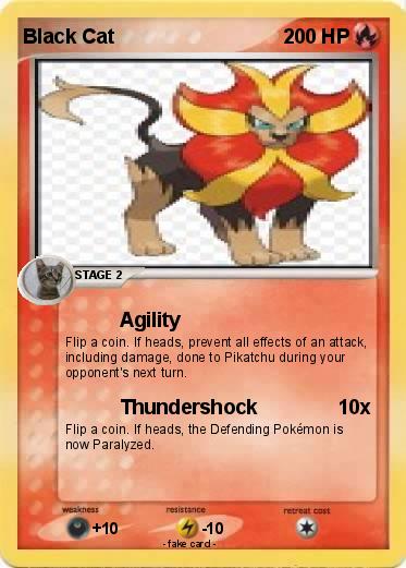 Pokemon Black Cat
