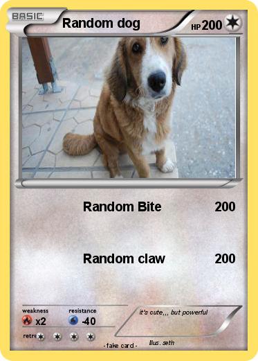 Pokemon Random dog