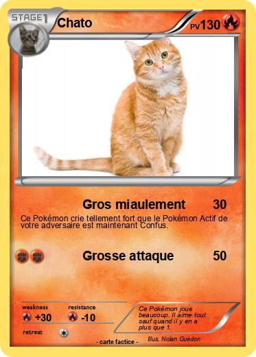 Pokemon Chato