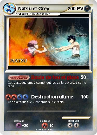 Pokemon Natsu et Grey