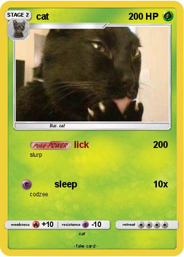 Pokemon cat