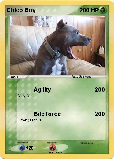 Pokemon Chico Boy