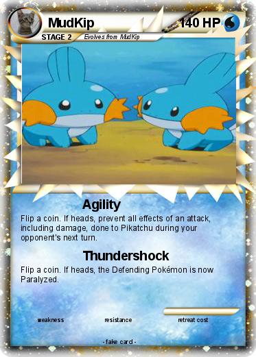 Pokemon MudKip