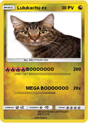Pokemon Lulukachu ex