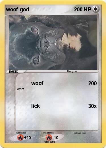 Pokemon woof god