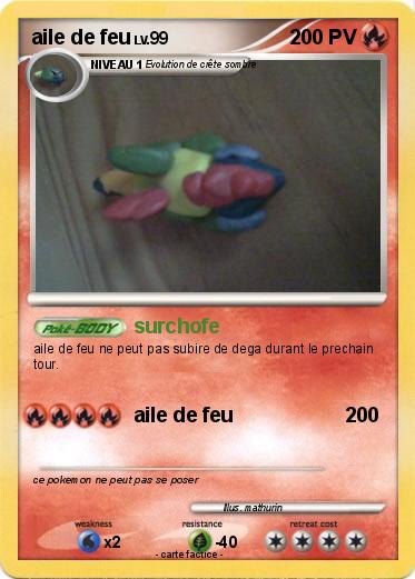 Pokemon aile de feu