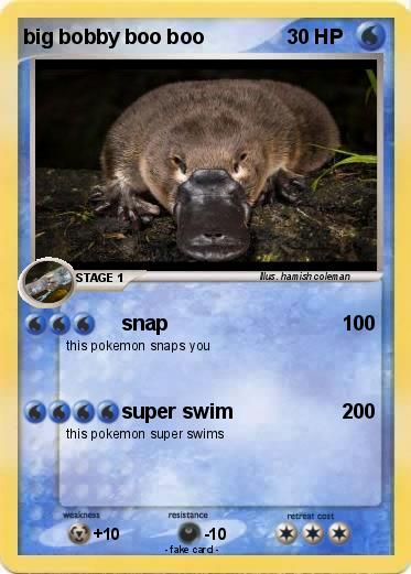Pokemon big bobby boo boo