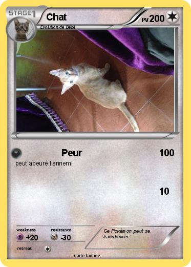 Pokemon Chat