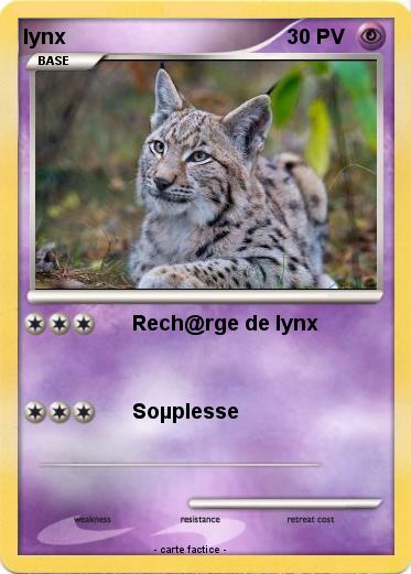 Pokemon lynx