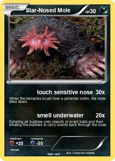 Pokemon Star-Nosed Mole