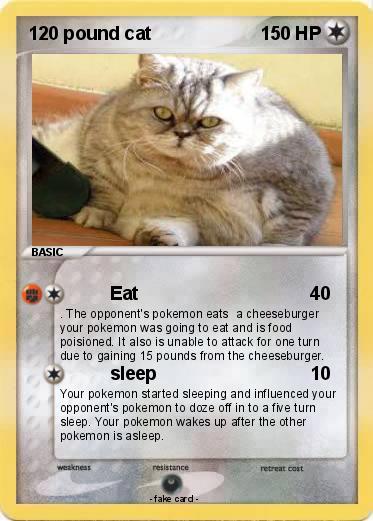 Pokemon 120 pound cat