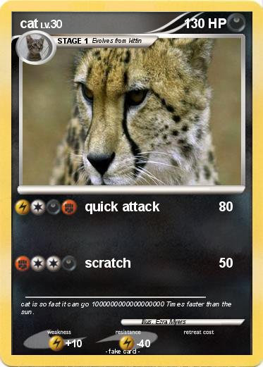 Pokemon cat