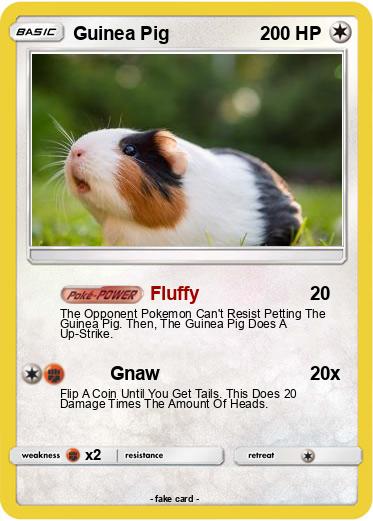 Pokemon Guinea Pig