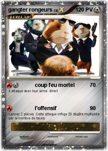 Pokemon gangter rongeurs
