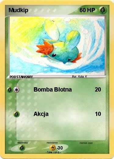 Pokemon Mudkip