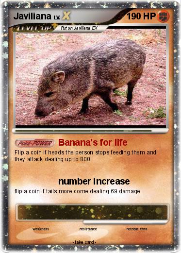 Pokemon Javiliana