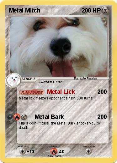Pokemon Metal Mitch