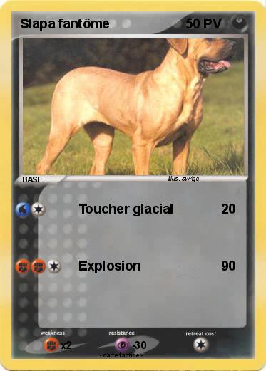 Pokemon Slapa fantôme