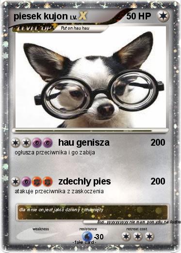 Pokemon piesek kujon