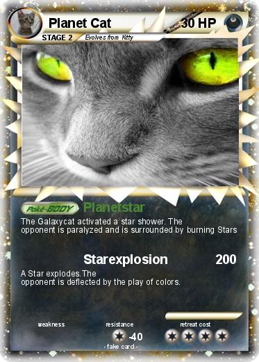 Pokemon Planet Cat