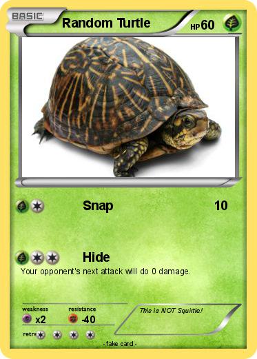 Pokemon Random Turtle