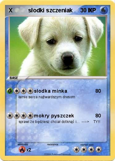 Pokemon X          słodki szczeniak          X