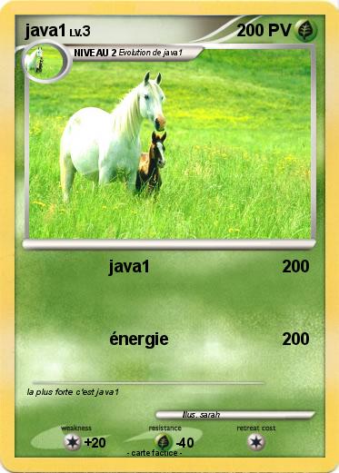 Pokemon java1