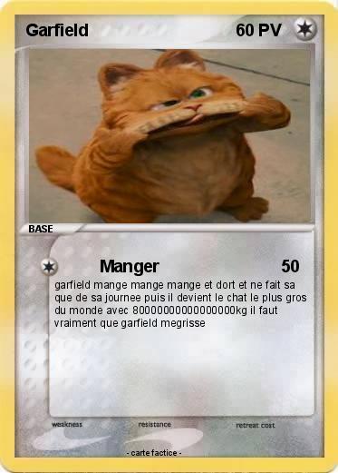 Pokemon Garfield