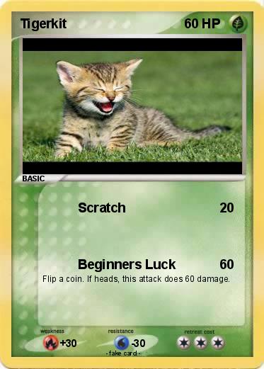 Pokemon Tigerkit