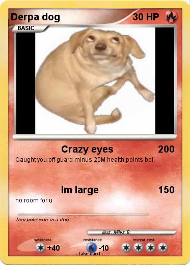 Pokemon Derpa dog