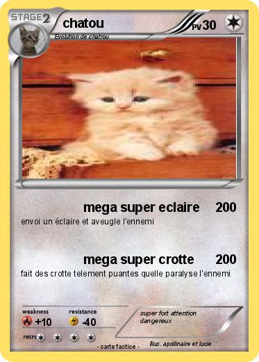 Pokemon chatou