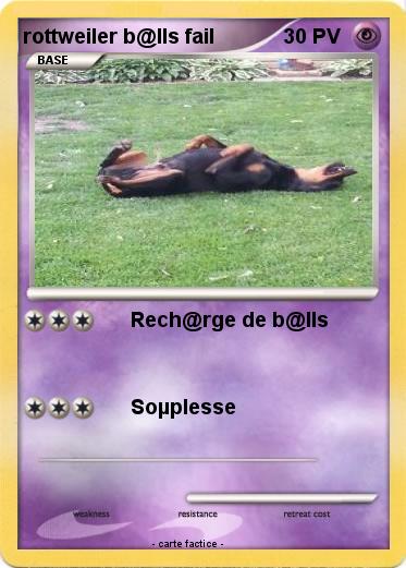 Pokemon rottweiler b@lls fail